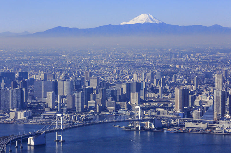 Tokyo Metropolis