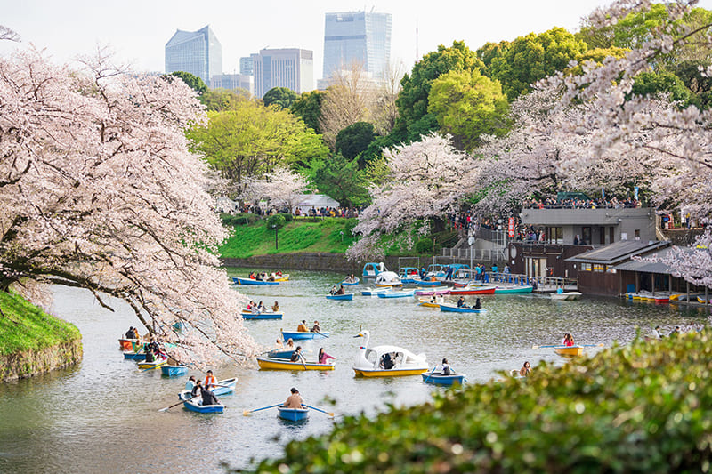 Chiyoda City