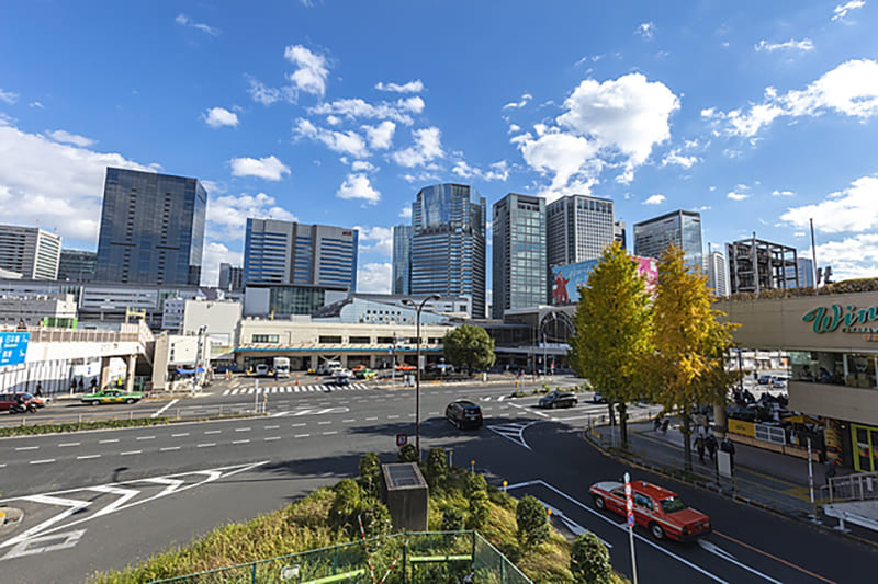 Shinagawa City