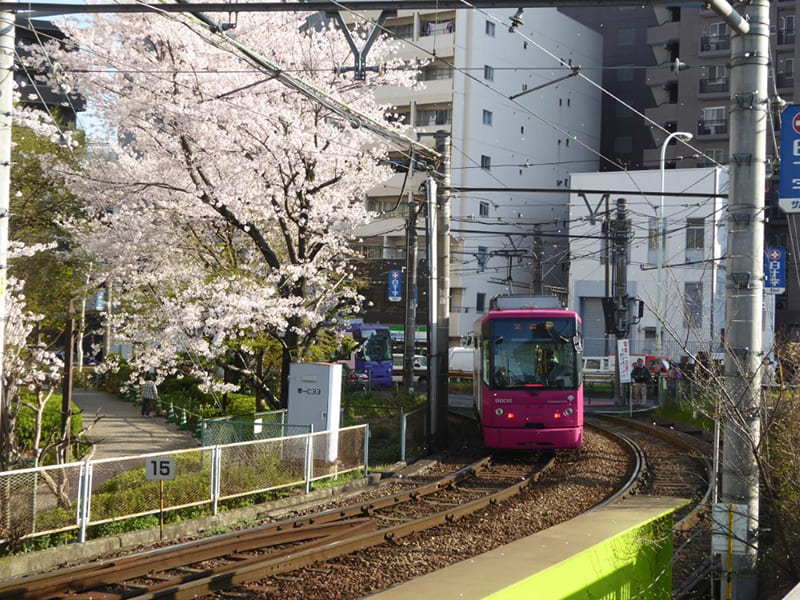 Arakawa City