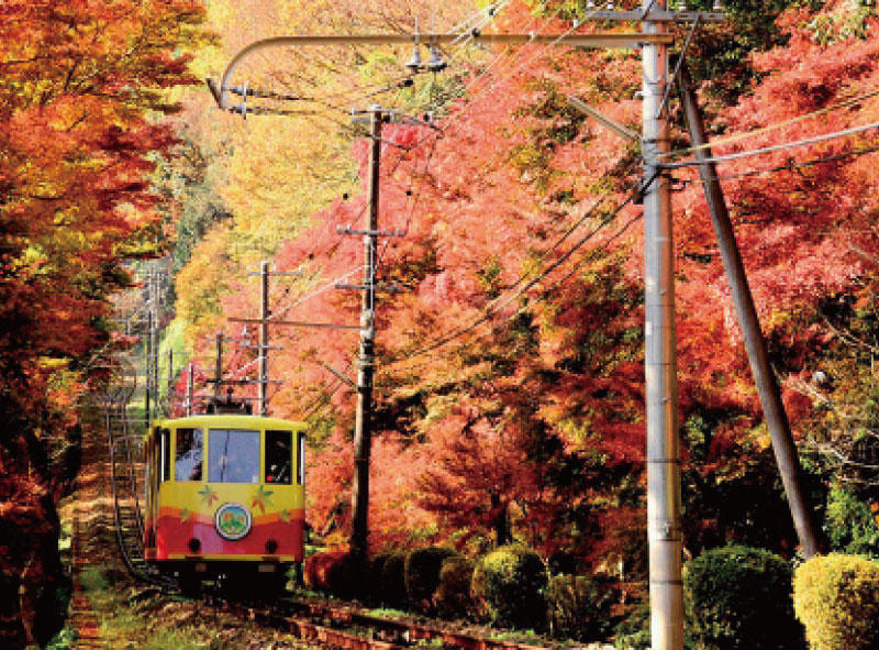 Hachioji City