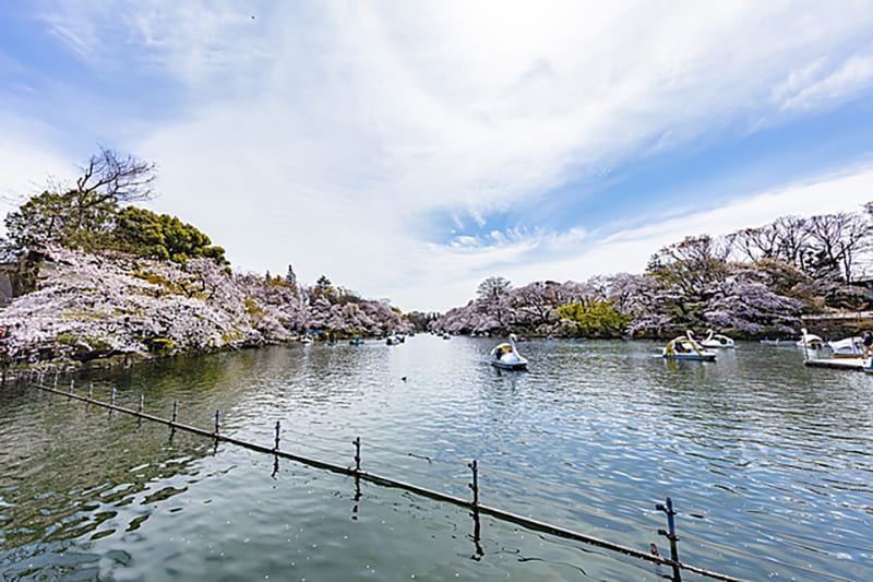 Musashino City