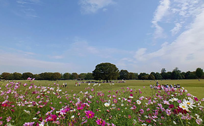 Akishima City