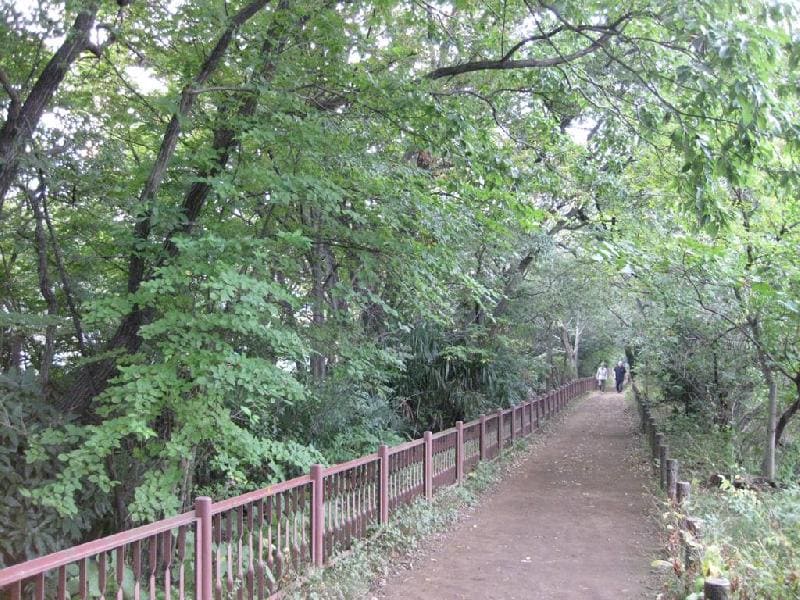 Kodaira City
