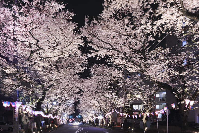 Higashimurayama City