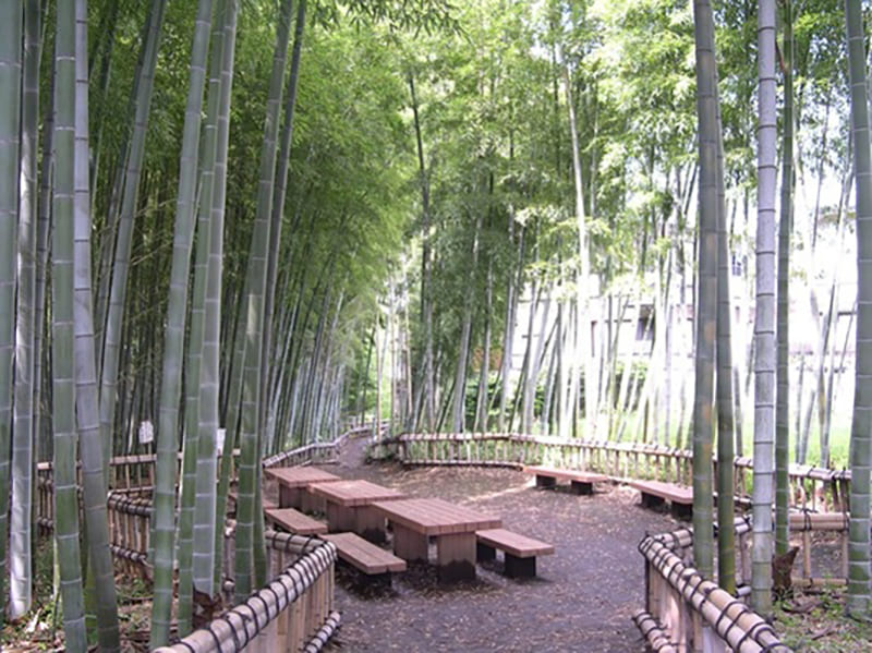 Higashikurume City
