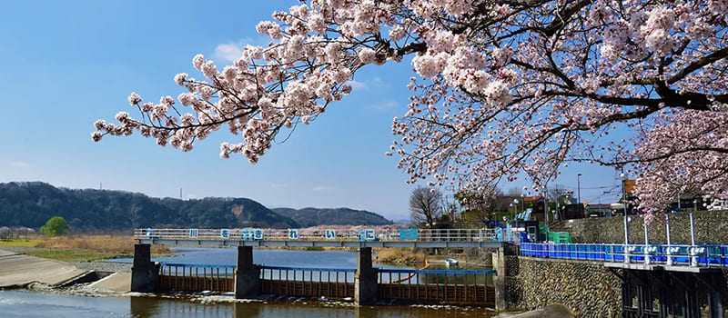 Hamura City