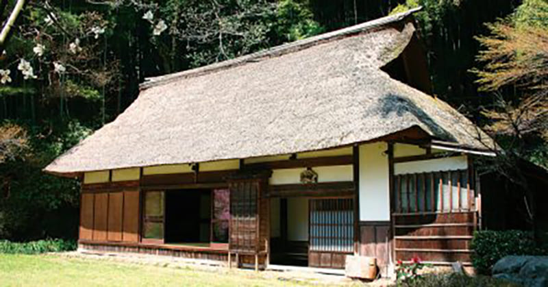 Hinode Town