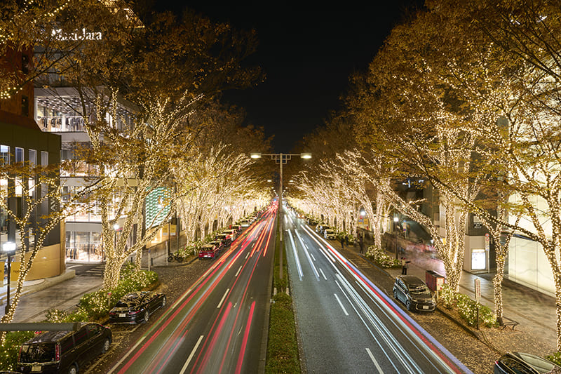 Harajuku & Omotesando