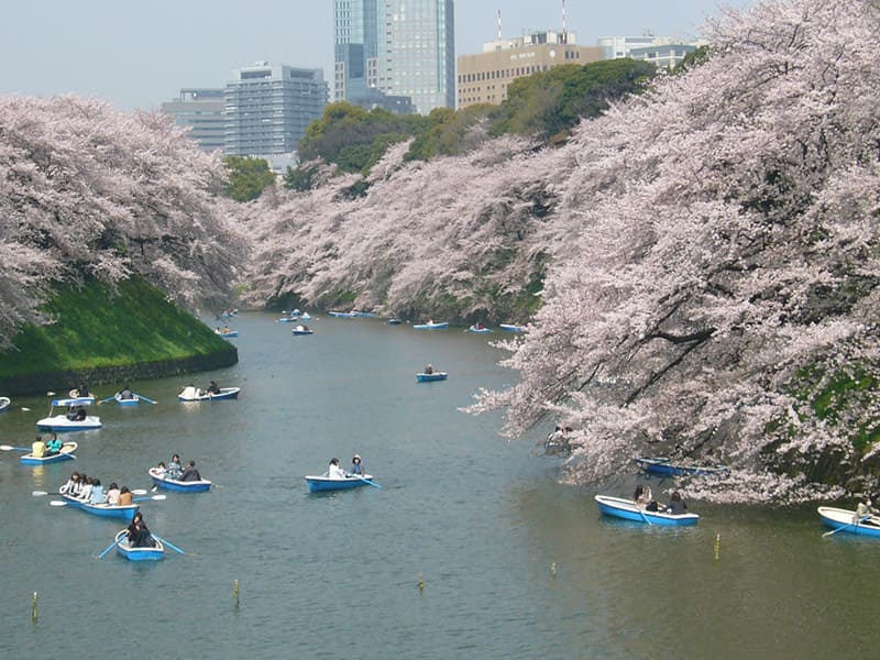 千鳥が淵