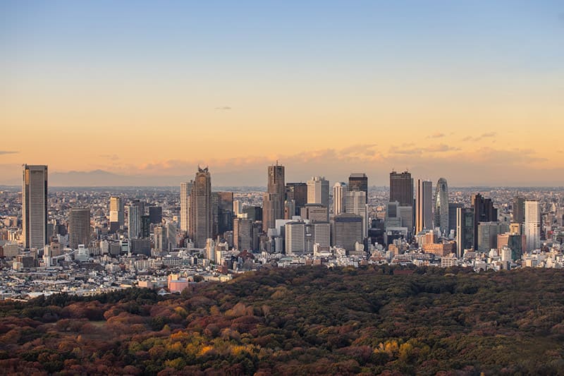 Nishi-Shinjuku Skyscraper District