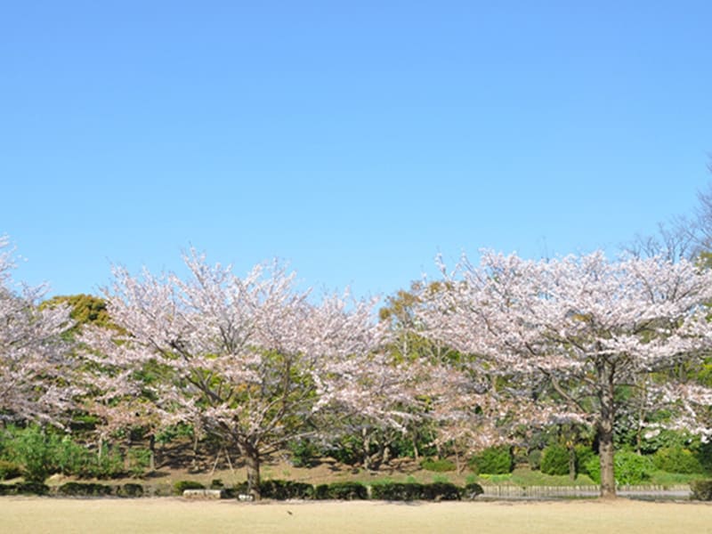 北の丸公園