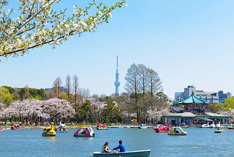 上野恩賜公園