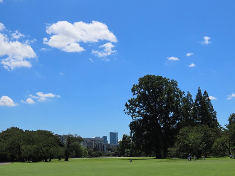 Shinjuku Gyoen National Garden
