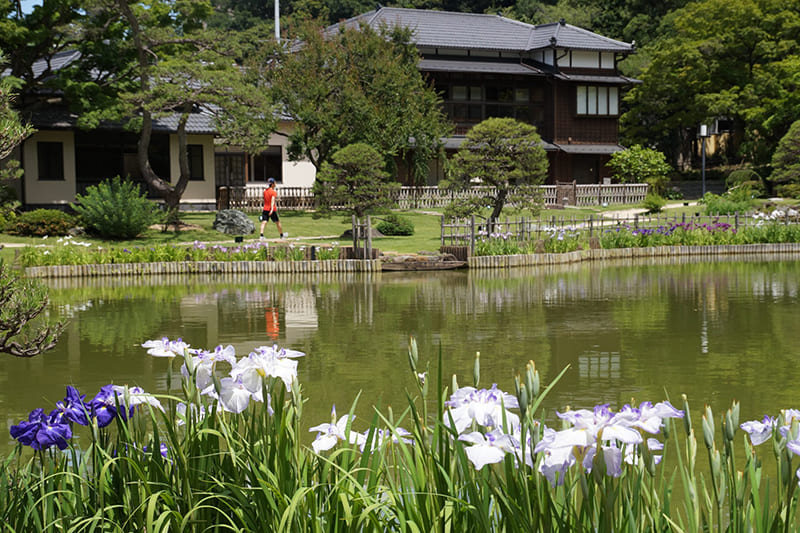 肥後細川庭園