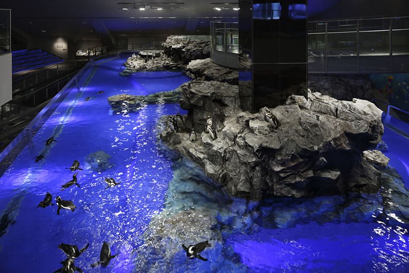 墨田水族館