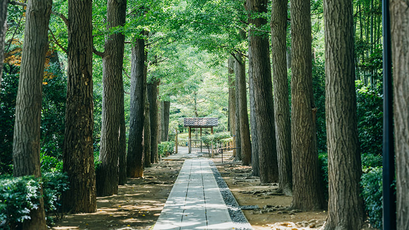 大田黒公園