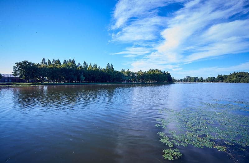 水元公園