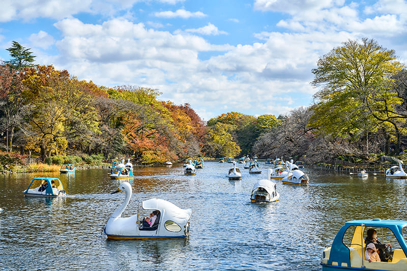 井の頭恩賜公園