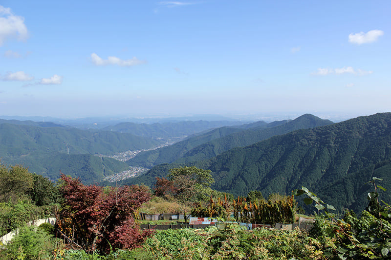 미타케산