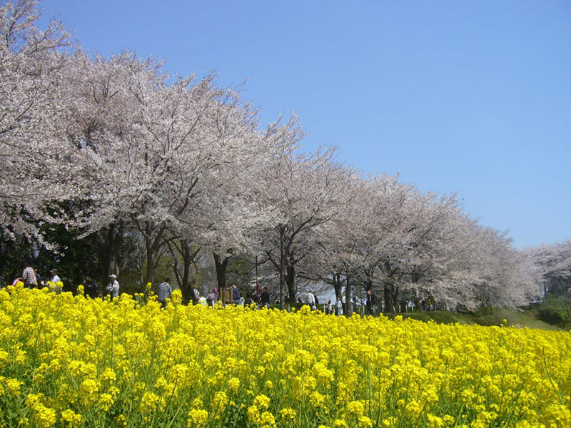 尾根綠道