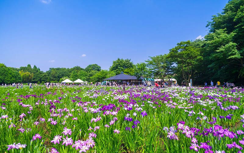 北山公園