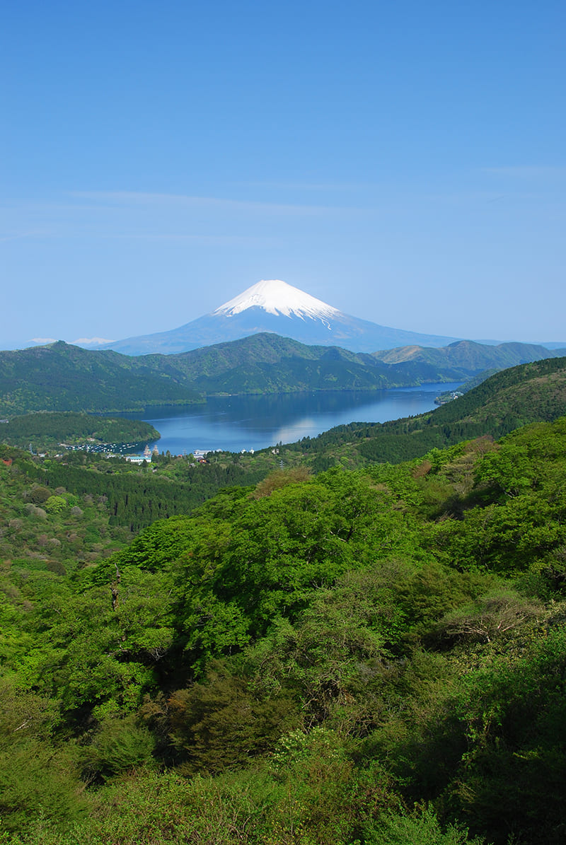 Kanagawa Prefecture
