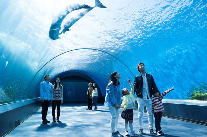 八景島海島樂園