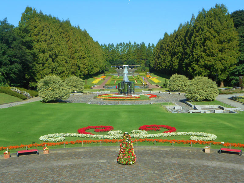 神奈川县立相模原公园