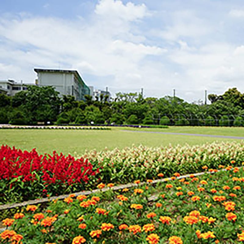 大船植物园