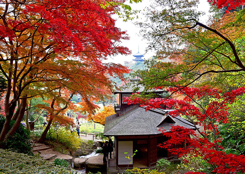 Sankeien Garden