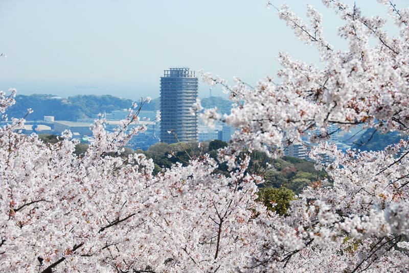 塚山公園