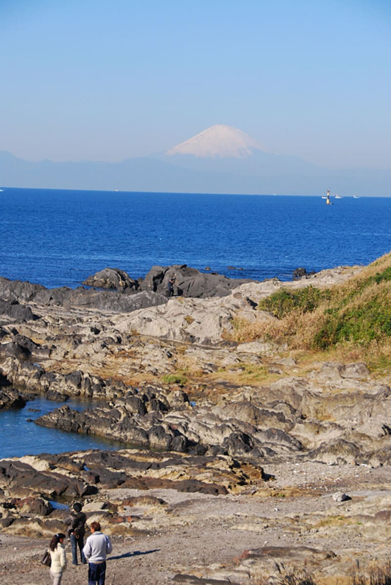 荒崎海岸