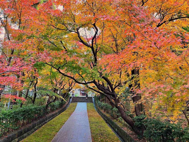 天嶽院