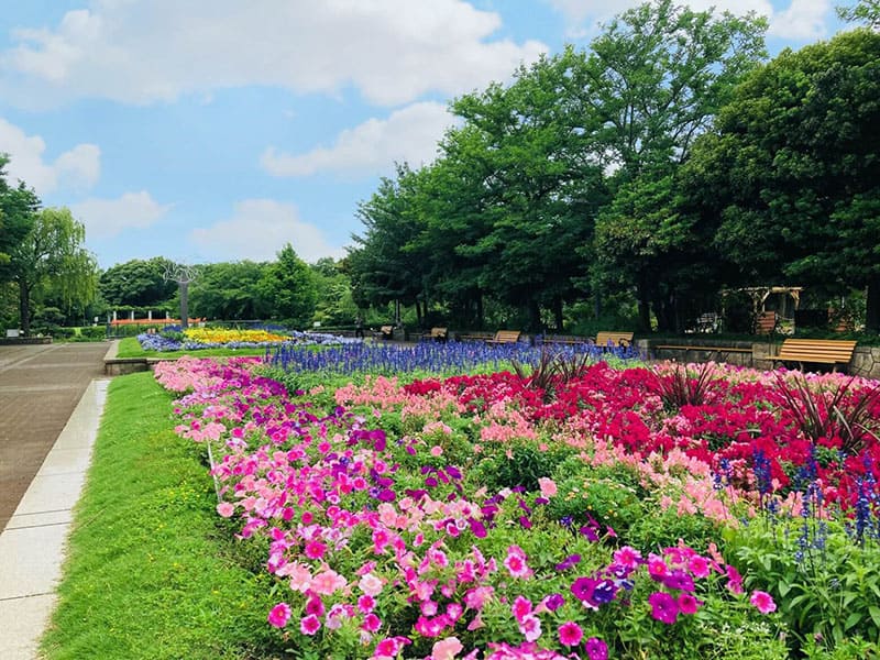 長久保公園都市緑化植物園