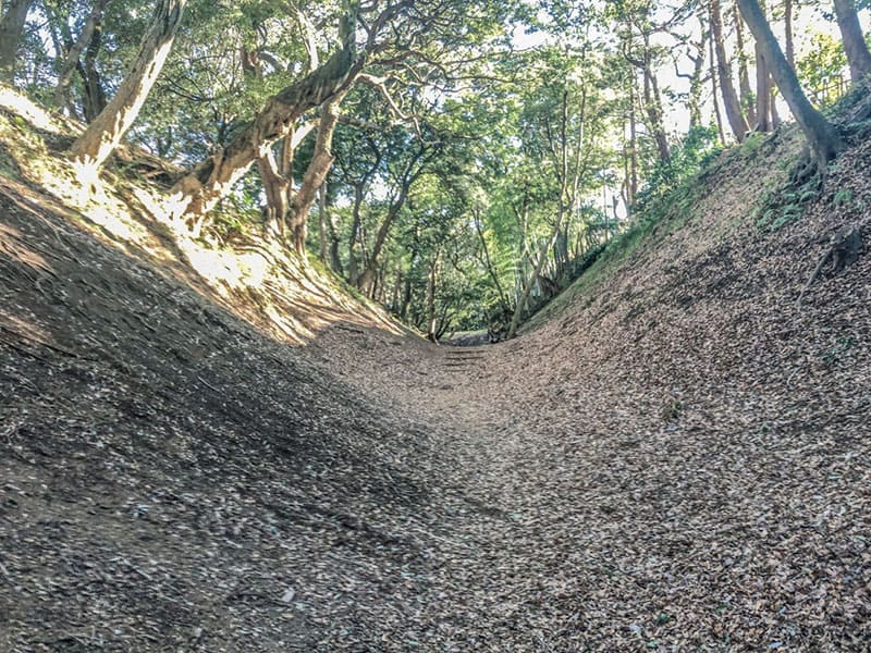 小田原総構