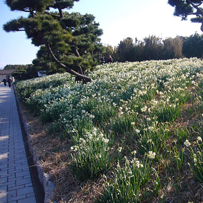 城ヶ島公園