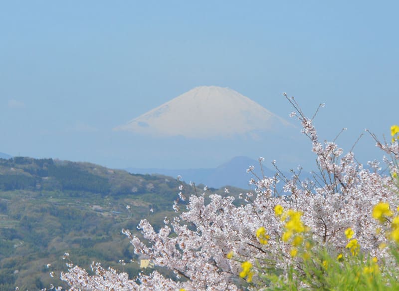 吾妻山公園