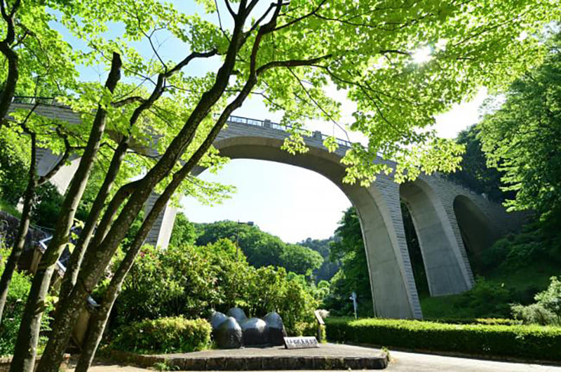 神奈川县立七沢森林公园