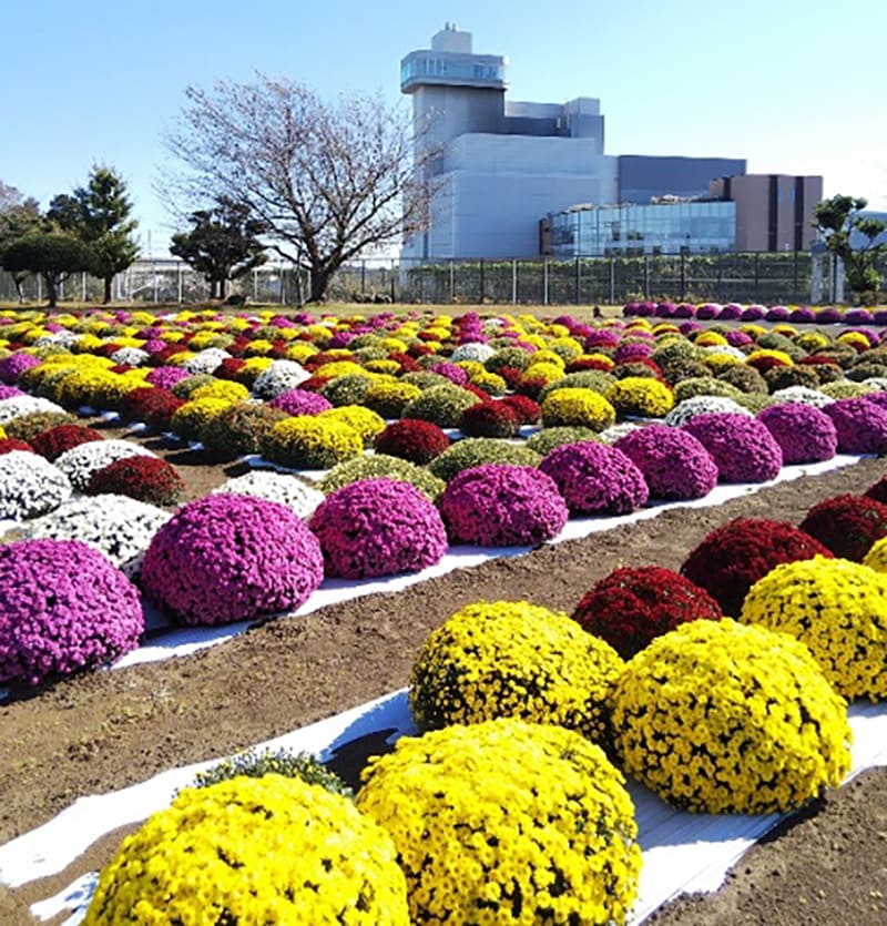 Ebina City