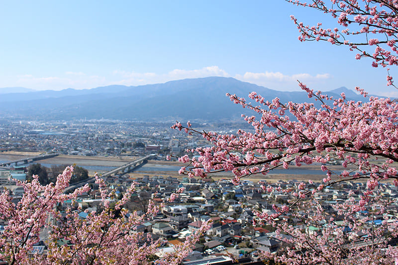 Matsuda Town