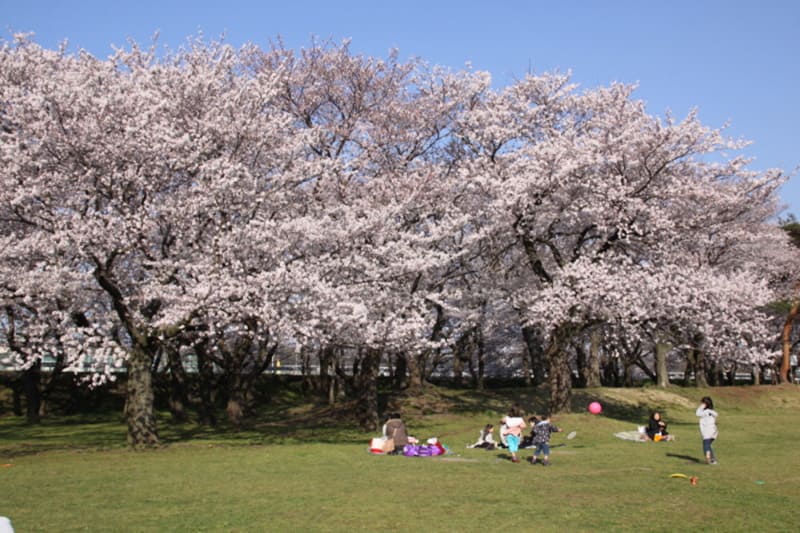 愛川町青少年広場