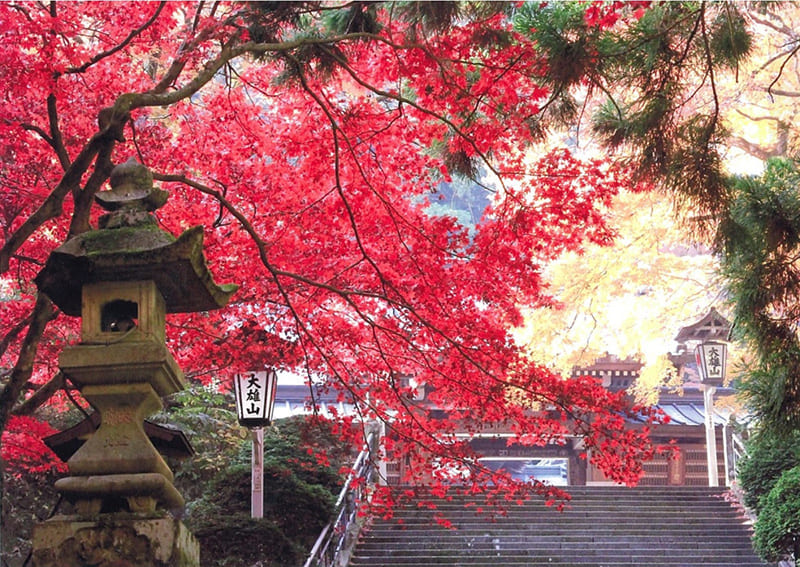 大雄山最乘寺