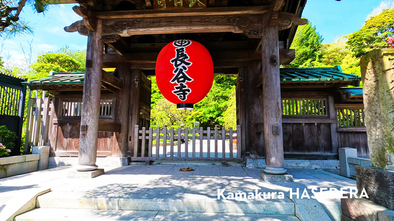 镰仓 长谷寺