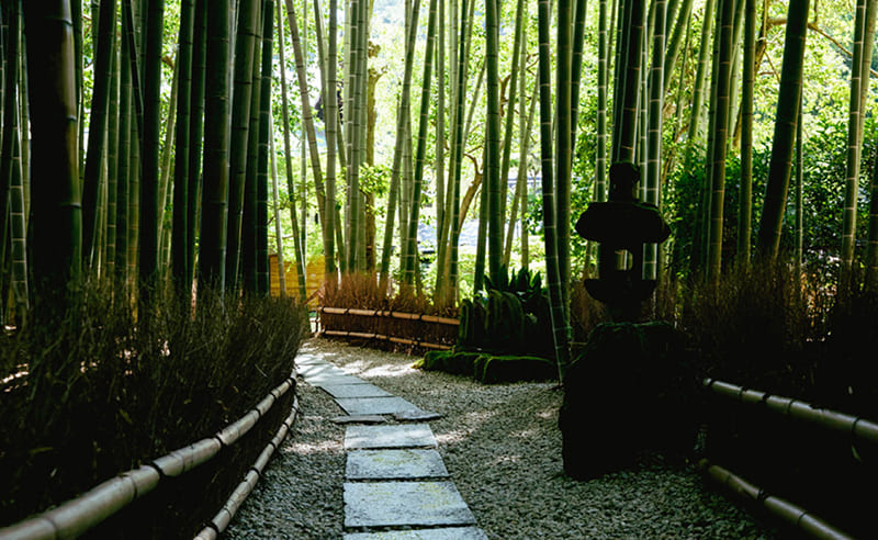 报国寺