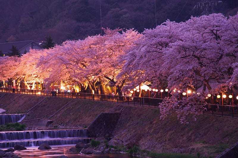 箱根 宫城野地区