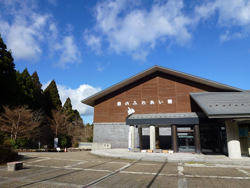 箱根町立森のふれあい館