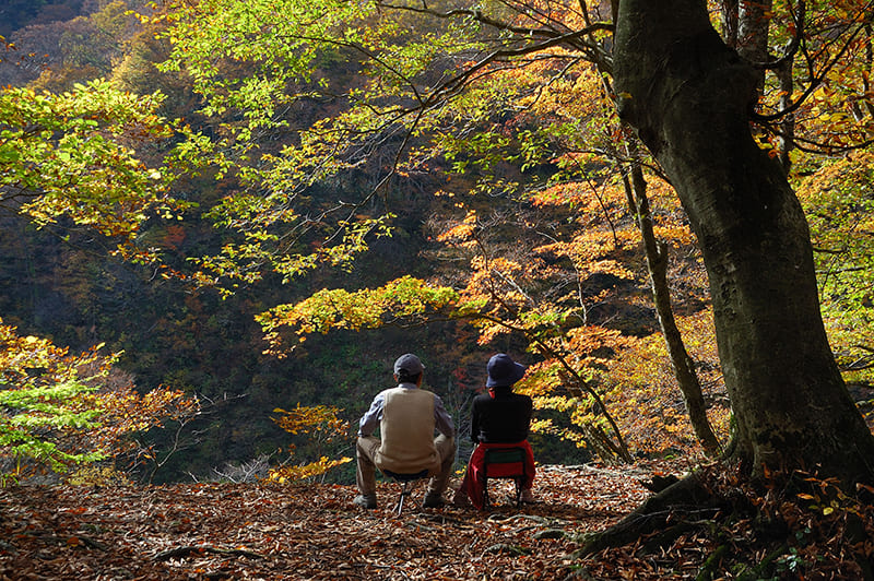 Oku-Tainai