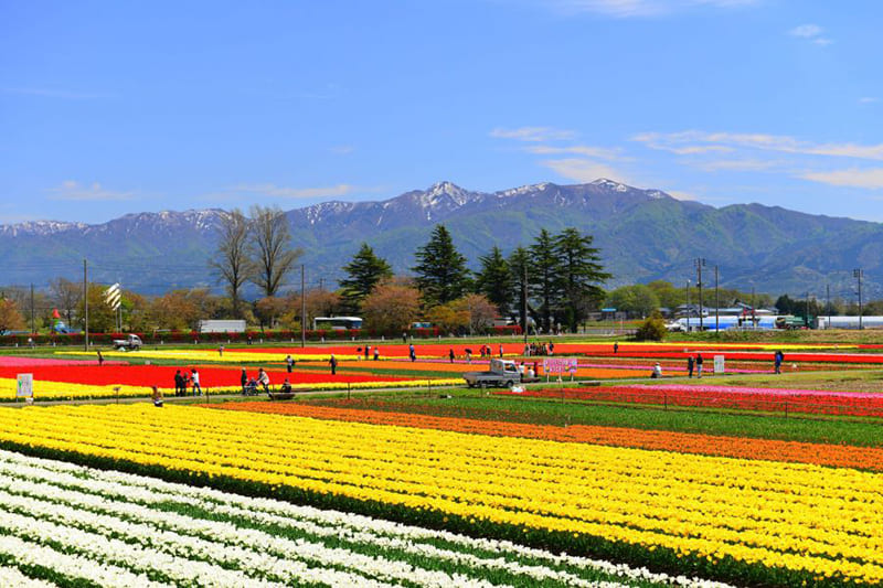 Gosen City