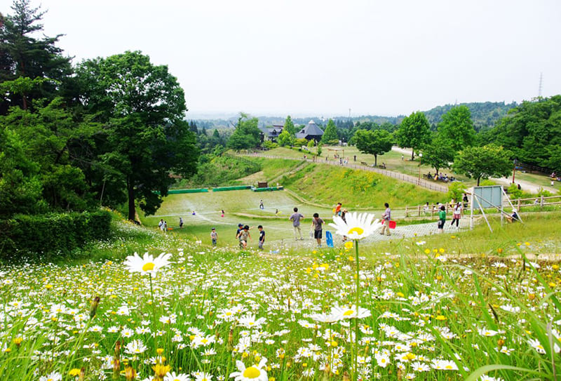 Tagami Town